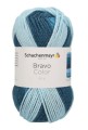 BRAVO COLOR 2141.jpg